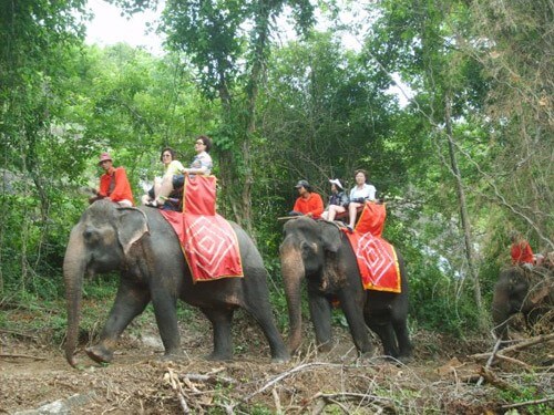 Прогулка на слонах в Таиланде. Трансфер